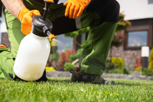 Best Commercial Pest Control Services  in Lake Arrowhead, ME