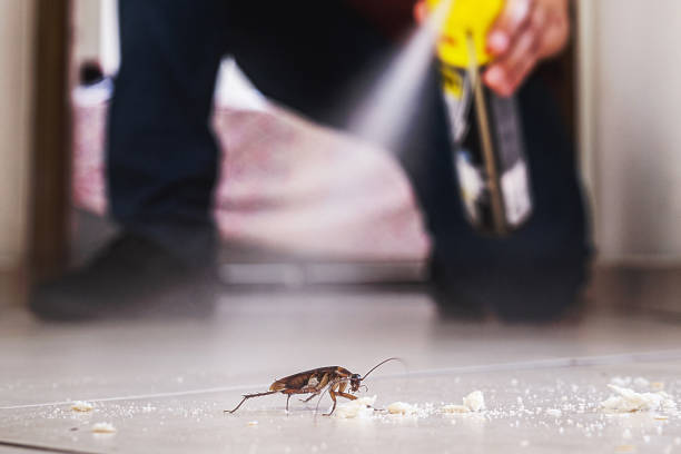 Best Exterminator Services  in Lake Arrowhead, ME